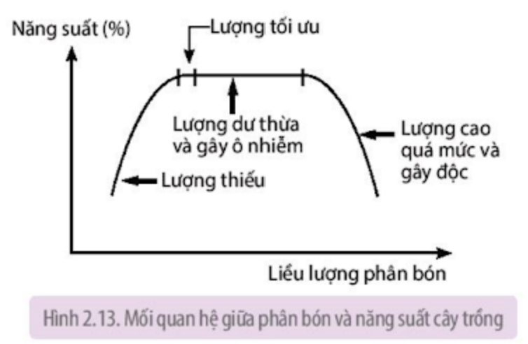 Biểu đồ sau đây nói về mối quan hệ giữ phân bón và năng suất cây