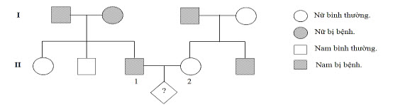 Phương pháp giải bài tập di truyền phả hệ - ảnh 1