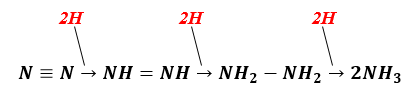 Quá trình chuyển hóa nitơ trong đất - ảnh 5