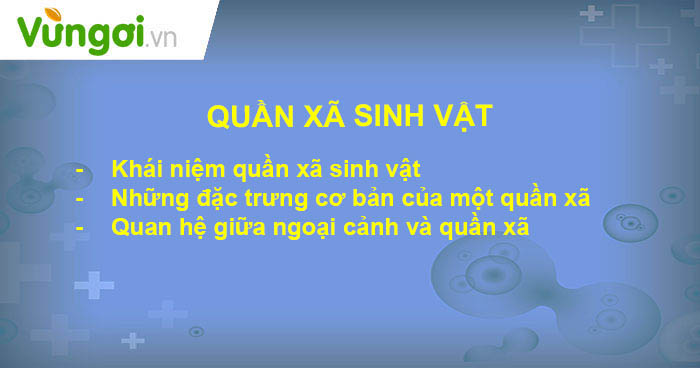 Lý thuyết quan hệ giữa các loài trong quần xã sinh vật sinh 12