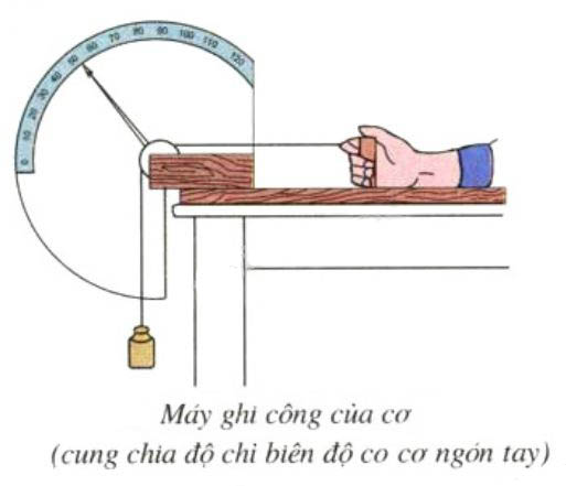 Tính công cơ ngón tay bằng máy ghi công của cơ Tính công cơ ngón tay bằng máy ghi công của cơ