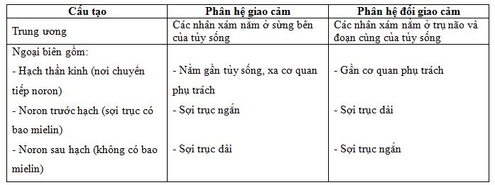 so sánh giao cảm và đối giao cảm 2