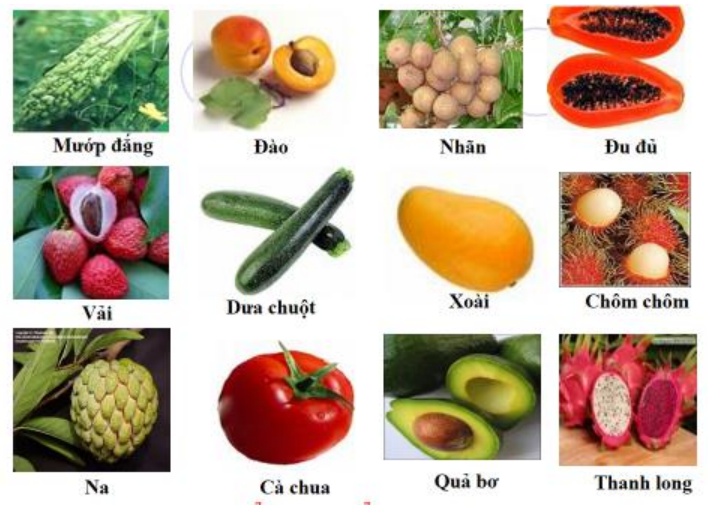 một số quả một số quả