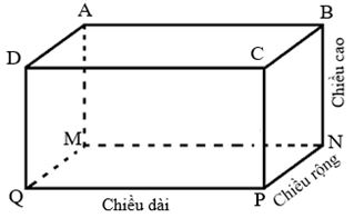 Lý thuyết hình hộp chữ nhật. hình lập phương toán 5