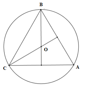 Cho tam giác ABC đều nội tiếp đường tròn ( O ). Tính số đo cung B