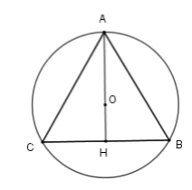 Tính diện tích tam giác đều nội tiếp đường tròn (( (O;2cm) ) )
