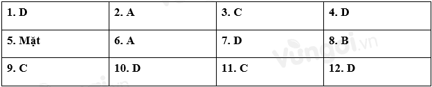 Soạn bài Kiểm tra tổng hợp cuối học kì I siêu ngắn - ảnh 1