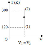 Đề kiểm tra giữa học kì 2 - Đề số 4 - ảnh 1