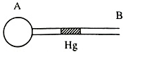 Đề kiểm tra giữa học kì 2 - Đề số 4 - ảnh 1