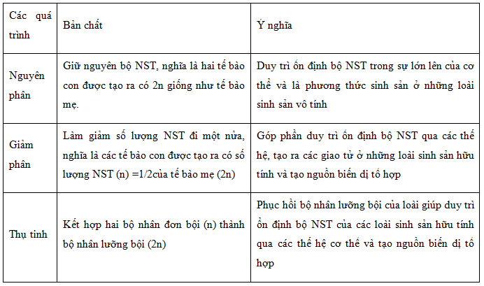 Bản chất của các quá trình nguyên phân giảm phân và thụ tinh