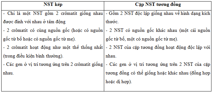 So sánh NST kép và cặp NST tương đồng