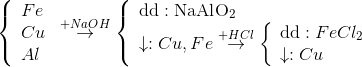 \left\{ \begin{array}{l} Fe\\ Cu\\ Al \end{array} \right.\overset{+NaOH}{\rightarrow}\left\{ \begin{array}{l} {\rm{dd:NaAl}}{{\rm{O}}_2}\\ \downarrow :Cu,Fe\overset{+HCl}{\rightarrow}\left\{ \begin{array}{l} {\rm{dd}}:FeC{l_2}\\ \downarrow :Cu \end{array} \right. \end{array} \right.