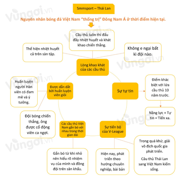 Phân tích chi tiết Điều gì giúp bóng đá Việt Nam chiến thắng - ảnh 1