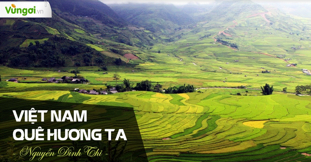 Soạn bài Việt Nam quê hương ta là bài học mang ý nghĩa sâu sắc về đất nước Việt Nam, về những hình ảnh đẹp của tổ quốc. Hãy cùng chiêm ngưỡng hình ảnh đất nước được thể hiện qua bài thơ này.
