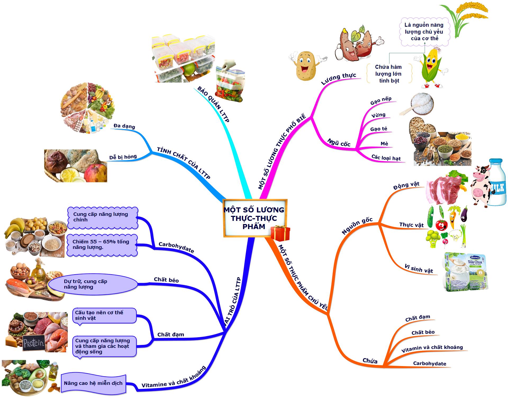 Lý thuyết sơ đồ tư duy bài một số lương thực-thực phẩm sinh 6