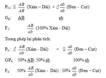 Bài tập quy luật liên kết gen - ảnh 1