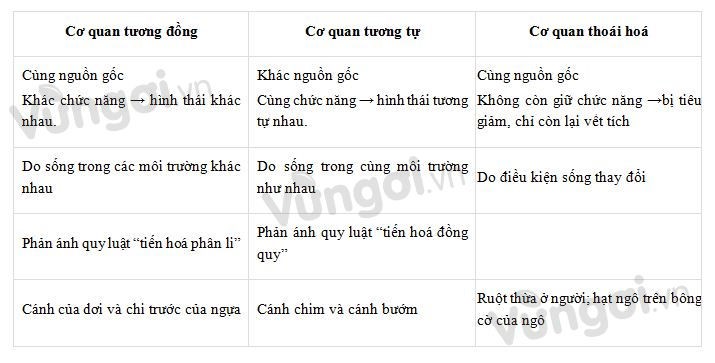 Bài tập các bằng chứng tiến hóa - ảnh 3