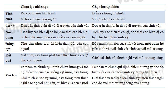 Bài tập học thuyết tiến hóa - ảnh 1