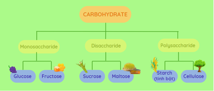 Monosaccarit - ảnh 1