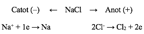 Điện phân nóng chảy NaCl