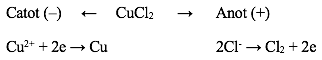 Điện phân CuCl2