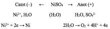 Điện phân NiSO4