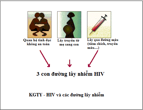 Sự nhân lên của virus - ảnh 8