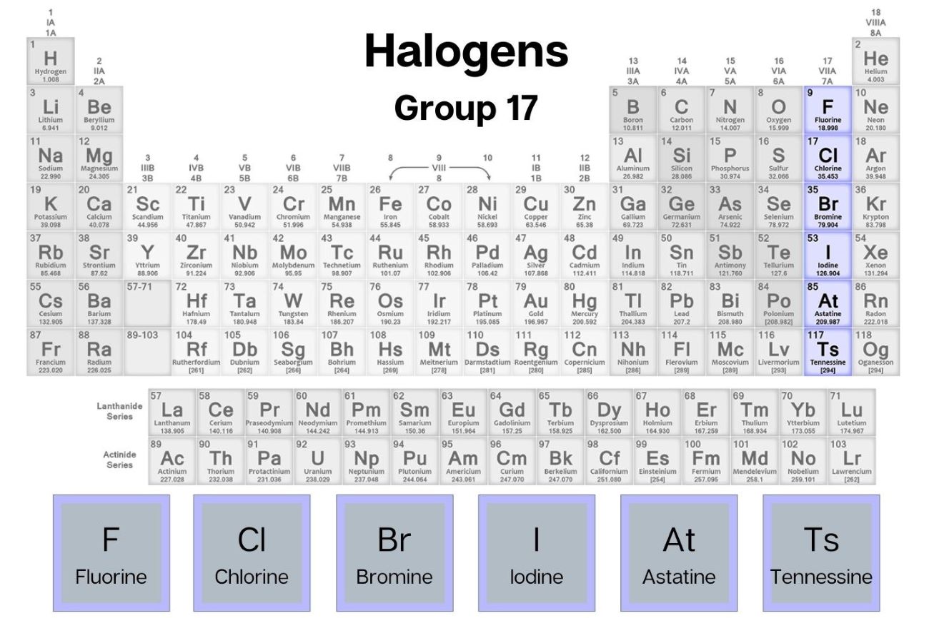 Vị trí nhóm halogen trong bảng tuần hoàn
