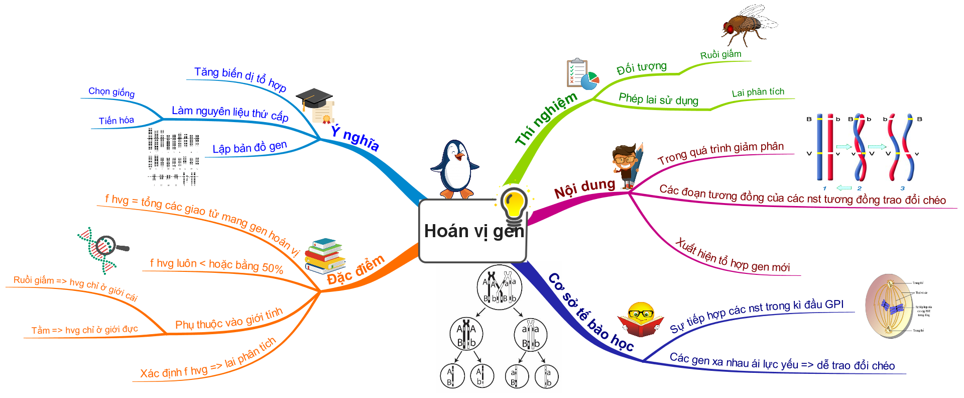 Lý Thuyết Sơ đồ Tư Duy Hoán Vị Gen Sinh 12