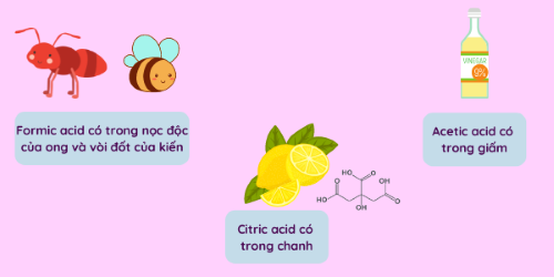 Một số acid thường gặp trong đời sống