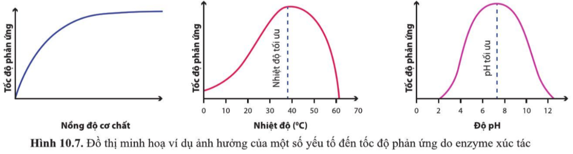 Đơn chất  Wikipedia tiếng Việt