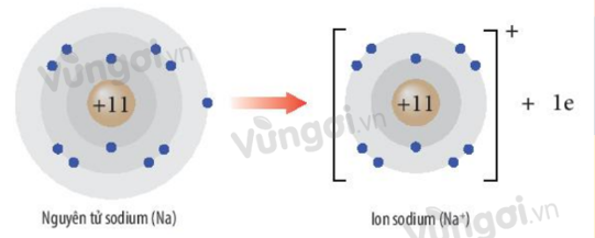 Bài 8: Liên kết ion  - ảnh 1