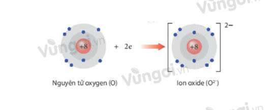 Bài 8: Liên kết ion  - ảnh 2