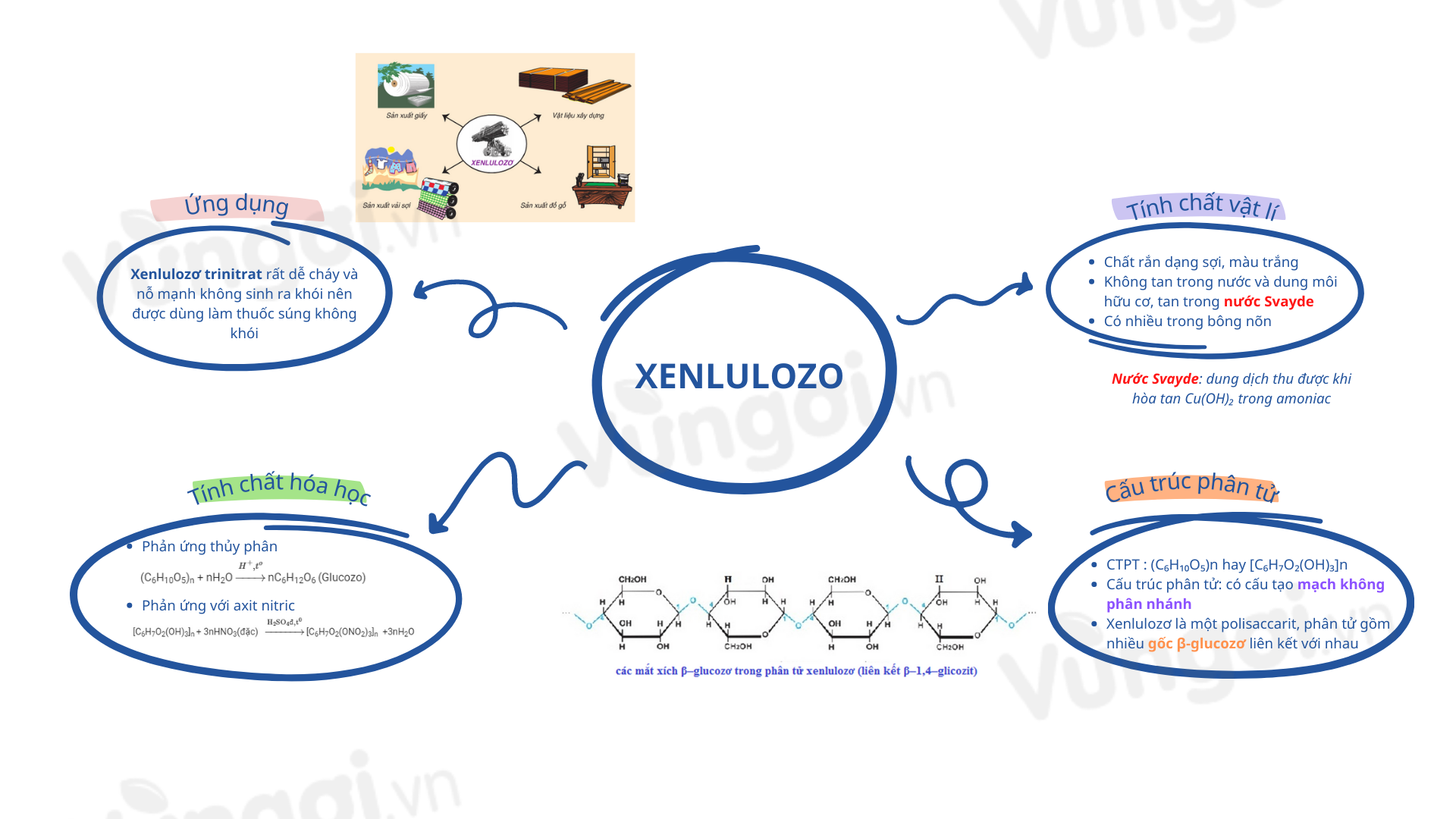 Lý thuyết sơ đồ vật suy nghĩ về xenlulozơ kho 1 - giải quyết và xử lý yếu tố ĐGNL