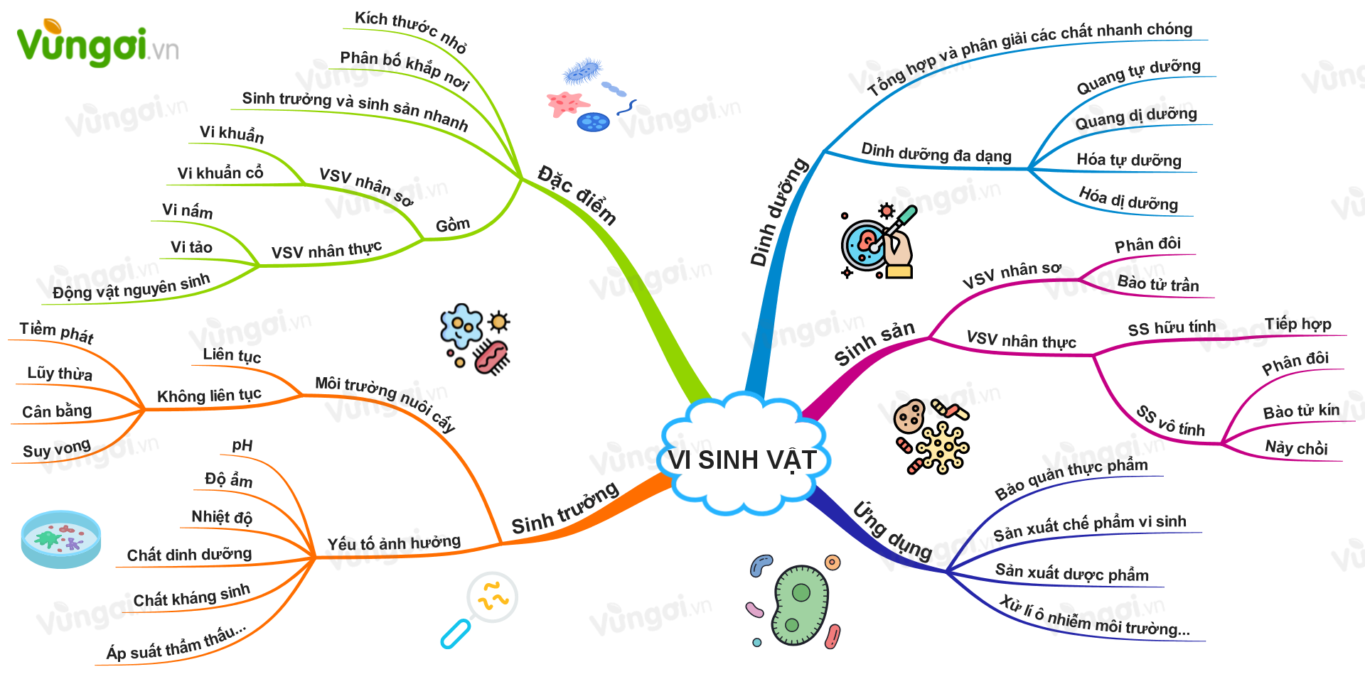 Tìm hiểu về Sơ đồ tư duy vi sinh vật Trên kênh học tập trực tuyến