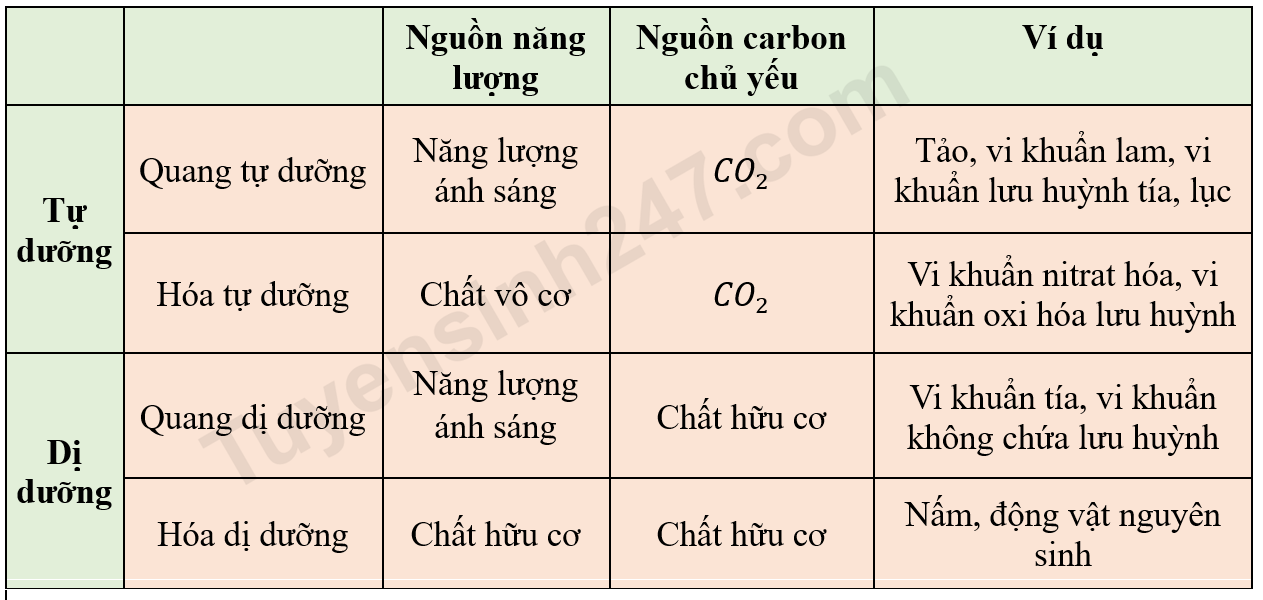 Lý thuyết các phương thức trao đổi chất và chuyển hóa năng lượng sinh 11