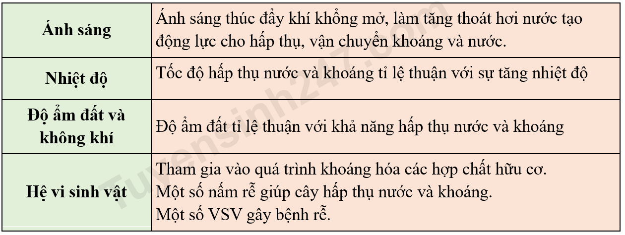 Lý thuyết các nhân tố ảnh hưởng đến trao đổi nước và dinh dưỡng khoáng ở  thực vật sinh 11