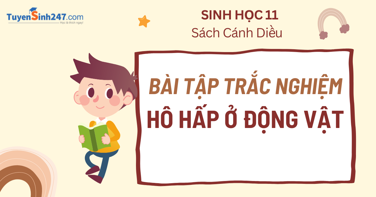 Bài tập bài 10 hô hấp ở động vật sinh 11 sách cánh diều có lời giải