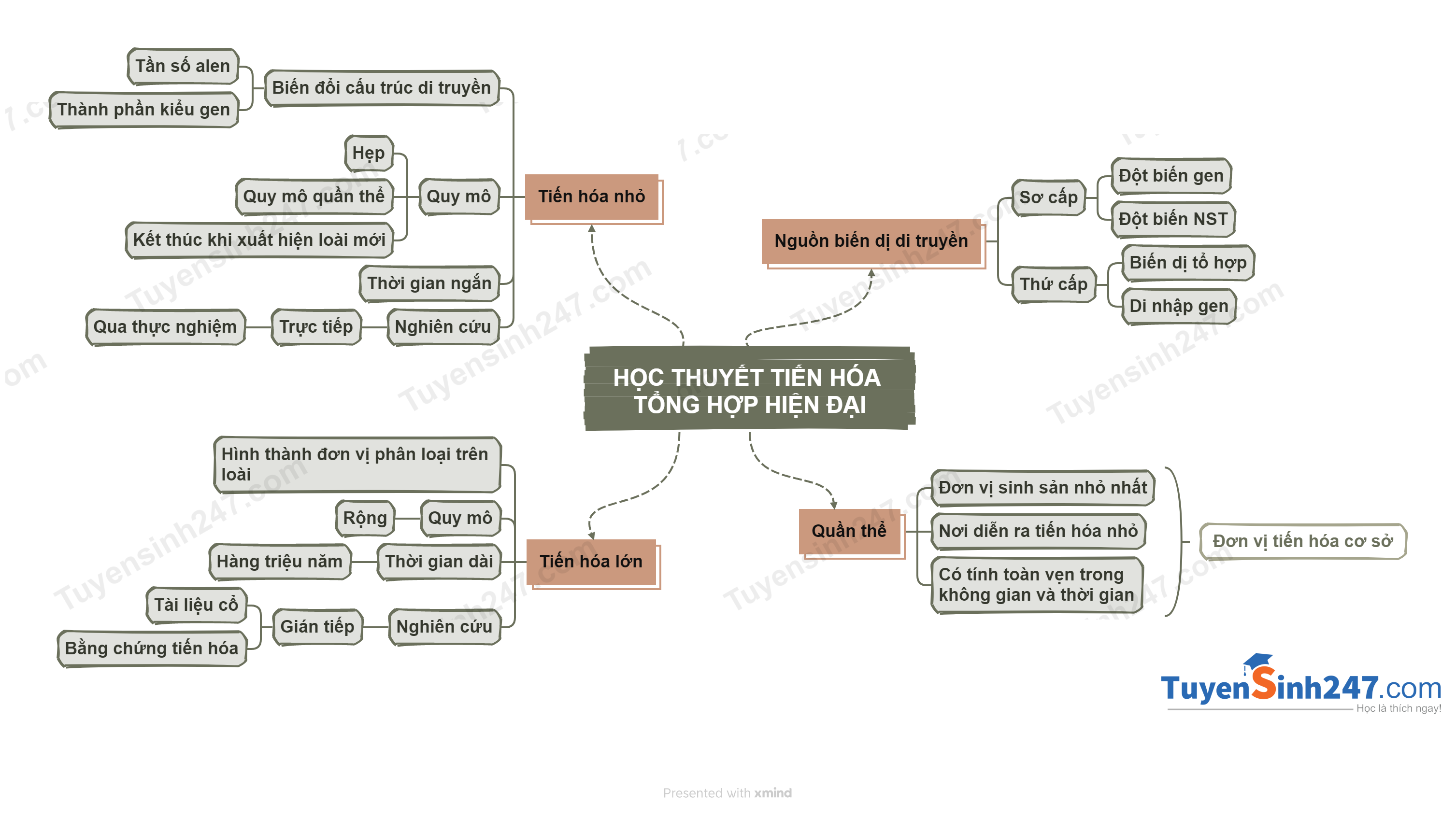 Lý Thuyết Sơ đồ Tư Duy Học Thuyết Tiến Hóa Tổng Hợp Hiện đại Sinh 12